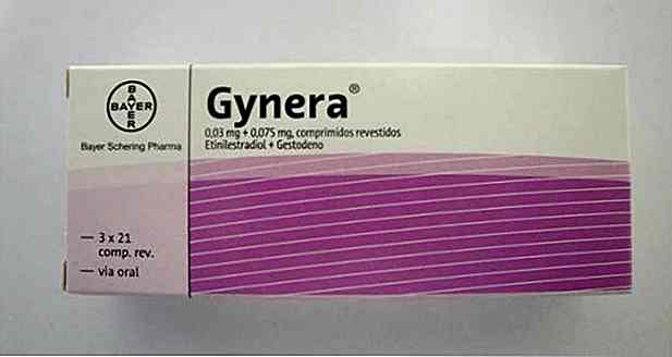 Găsește Gynera grăsime sau pierde în greutate?