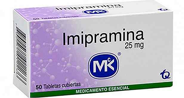 Imipramine Thin or Fatten?