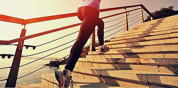 HIIT Training on the Ladder - Les meilleurs conseils