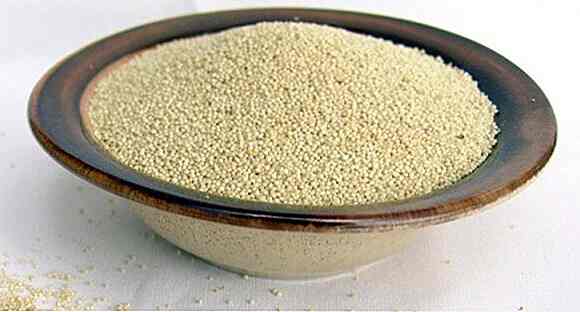 6 avantages de la farine de quinoa - Comment faire, comment utiliser et recettes