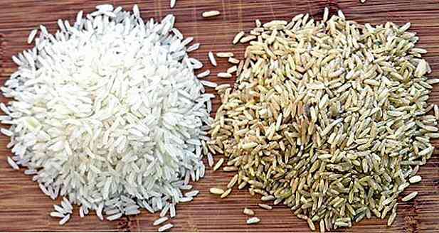 Weißer oder Integral Reis für Gewichtsverlust und Muskelmasse