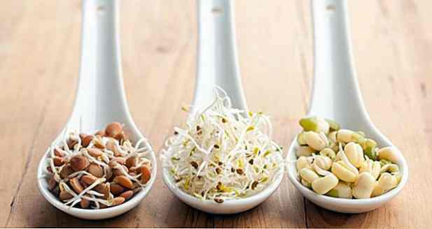 10 avantages des grains germés et comment le faire à la maison