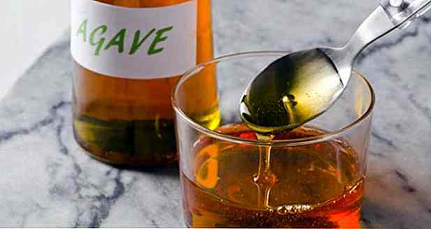 Agave Nectar - Nutzen für die Gesundheit oder Maladies?