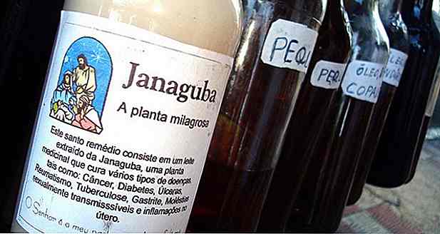 12 Vorteile von Janaguba Milch
