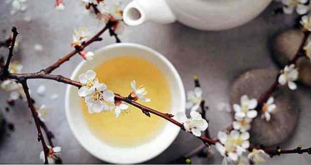 13 Vorteile von weißem Tee - für die es dient und Eigenschaften