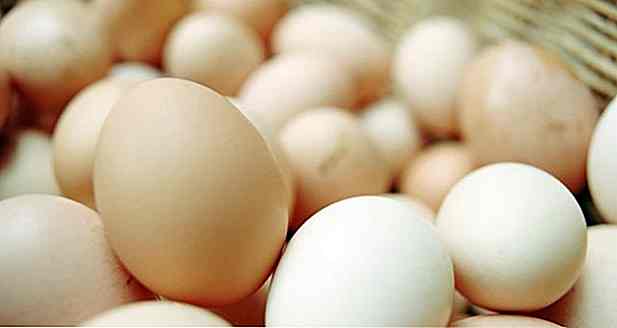 7 Avantages de l'œuf - Portions et propriétés
