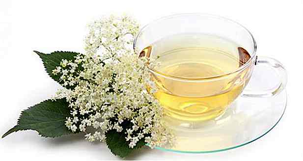 Elderberry Tea - Ce qu'il sert, comment et avantages