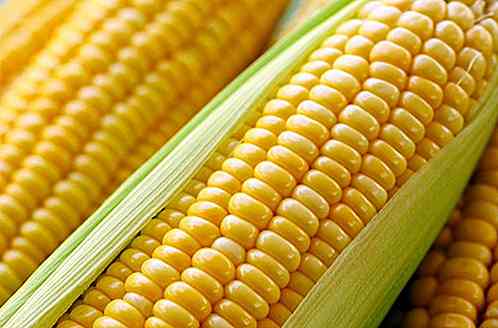 Wird Mais fett oder dünn?
