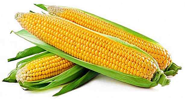 8 Vorteile von Mais - für was es dient und Eigenschaften