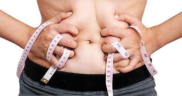 10 Nährstoffe, die Ihnen helfen, Fett zu verlieren