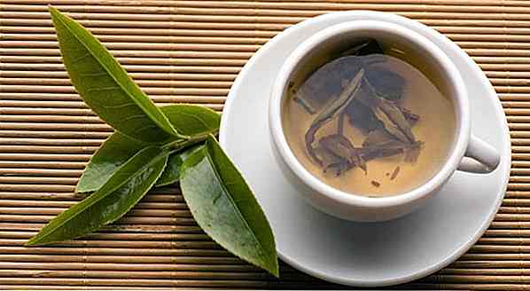 Est-ce que le thé blanc est mince?  Plus que du thé vert?  Comment se préparer?