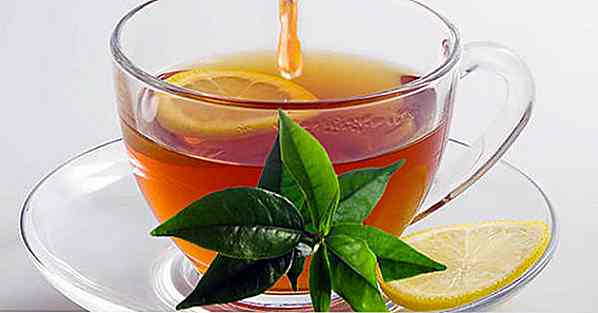 Lemon Leaf Tea - für was es dient, Vorteile und wie zu