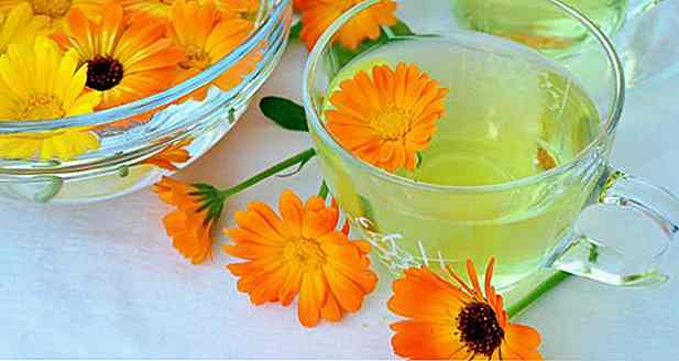Ringelblume - Was es ist, was es dient, Tee und Eigenschaften