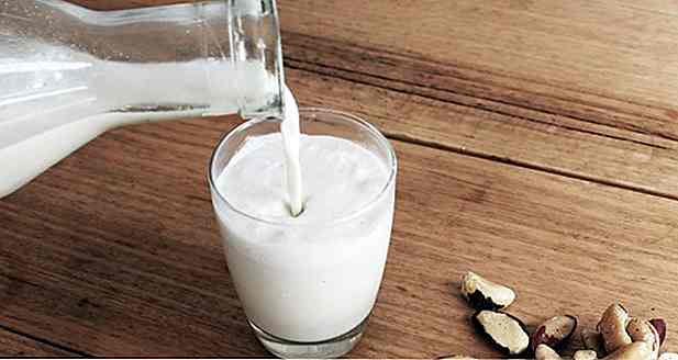10 Vorteile von Kastanienmilch und wie man es zu Hause macht