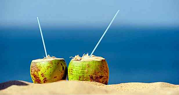 Ist Kokoswasser fett oder dünn?