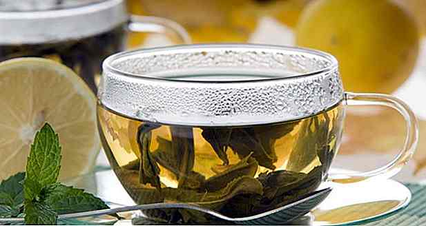 Ist Boldo Tee dünn?  Wie hilft es Ihnen, Gewicht zu verlieren?