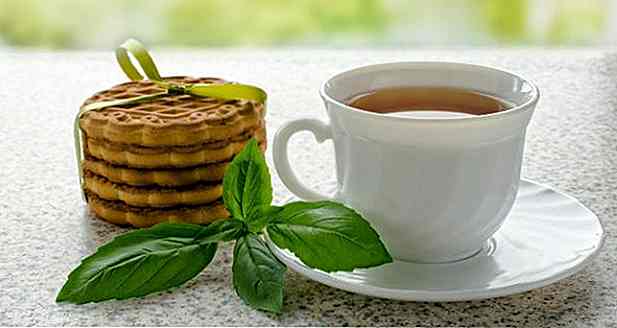 Cómo hacer té de albahaca - Receta, Beneficios y consejos