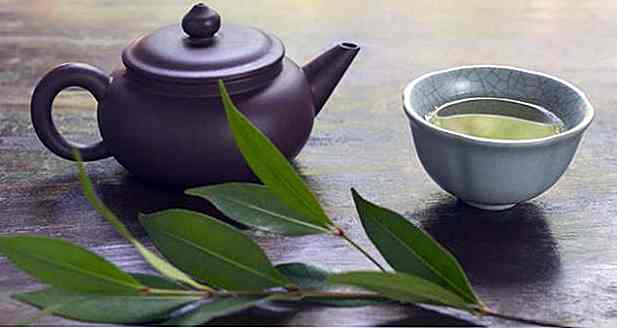 Lorbeerblatt-Tee - was es dient, wie zu und Nutzen
