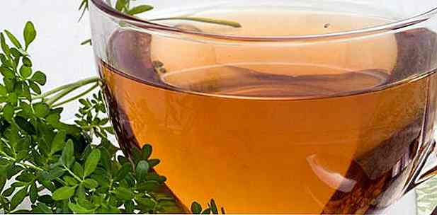 Wie man Tee von Arruda macht - Rezept und Spitzen