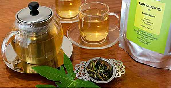 Papaya Leaf Tea Thin?  Che cosa serve, vantaggi e come