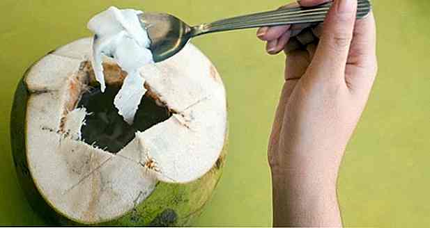 Calories de noix de coco - Types, portions et pourboires