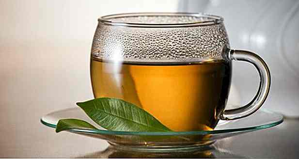 Comment faire du thé Guaco - Recette, avantages et astuces