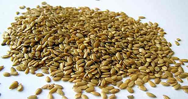 7 Vantaggi del seme di lino - Per cosa serve e proprietà