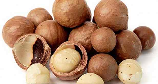 9 avantages de macadamia - pour ce qu'il sert et propriétés