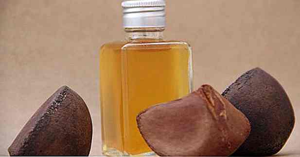 6 avantages de l'huile d'Andiroba - Qu'est-ce que c'est et des conseils