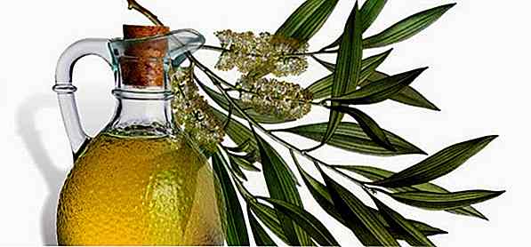 8 avantages de l'huile de melaleuca - Qu'est-ce que c'est et conseils