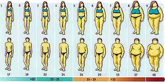 BMI - Nuovo calcolo: quali cambiamenti?  Capire di più