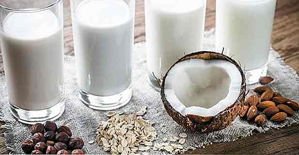 10 Rezepte für vegane leichte Milch