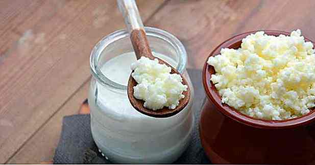 4 recettes de yaourt au kéfir