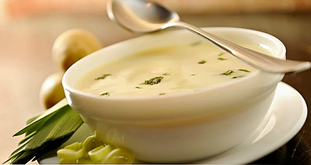 10 Rezepte für Suppe von Palmito Light