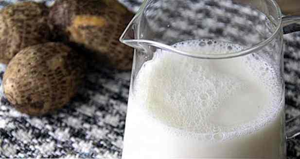 6 Yam Juice mit Milch Rezepte - Vorteile und wie zu