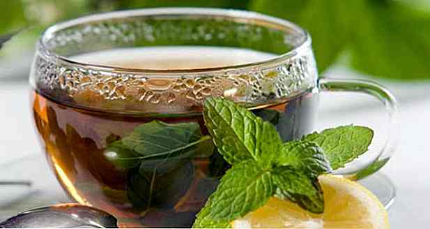 Comment faire du thé de myrtille - recette, avantages et astuces