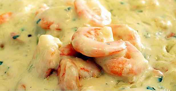 8 Strogonoff Rezepte für Shrimp Light