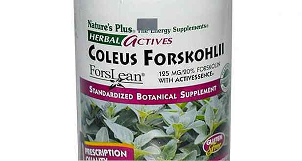 Coleus Forskohlii: avantages, effets secondaires et comment prendre
