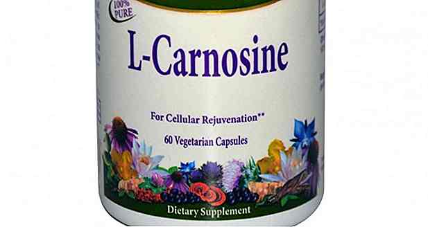 Carnosine: Qu'est-ce que c'est, avantages, effets secondaires et comment prendre