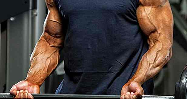 Relation entre la force musculaire et la masse musculaire