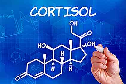 Come il cortisolo influenza la tua formazione