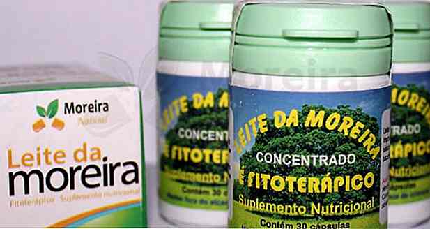 Moreiras Milch Funktioniert es?  Nebenwirkungen und Risiken