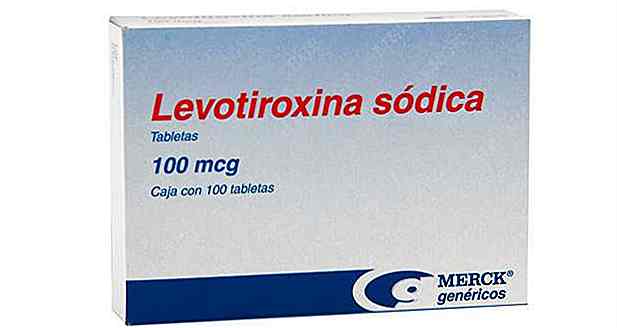 Ist Levothyroxin dünn oder fett?