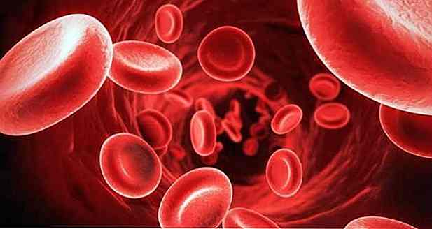 Hémoglobine faible ou élevée - Qu'est-ce que c'est, causes, symptômes et traitement