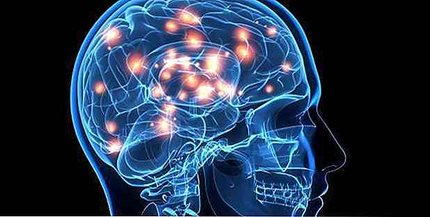 Cholesterin im Gehirn kann den Beginn von Alzheimer beschleunigen, sagt Studie