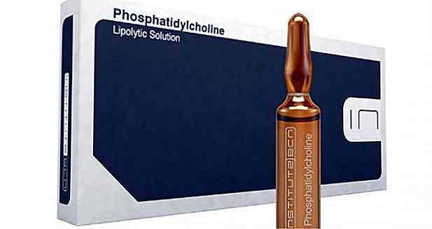 Phosphatidylcholin - was es ist, was es dient und Nebenwirkungen